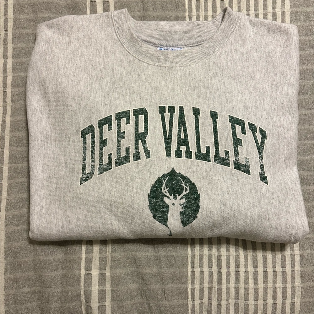 Champion sweatshirt